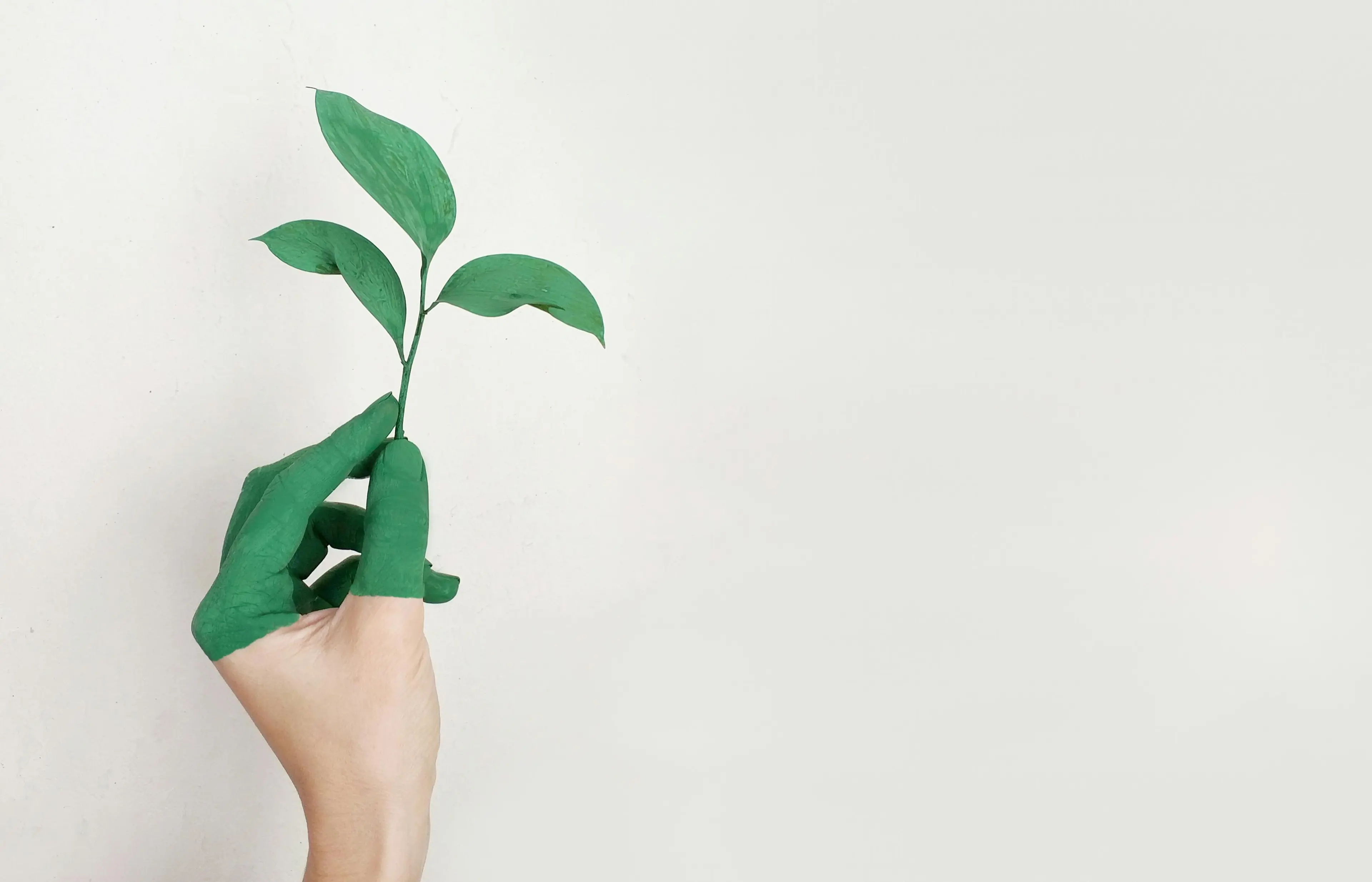 eco-friendly
