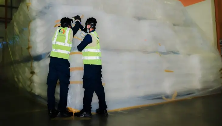 Fumigation Services
